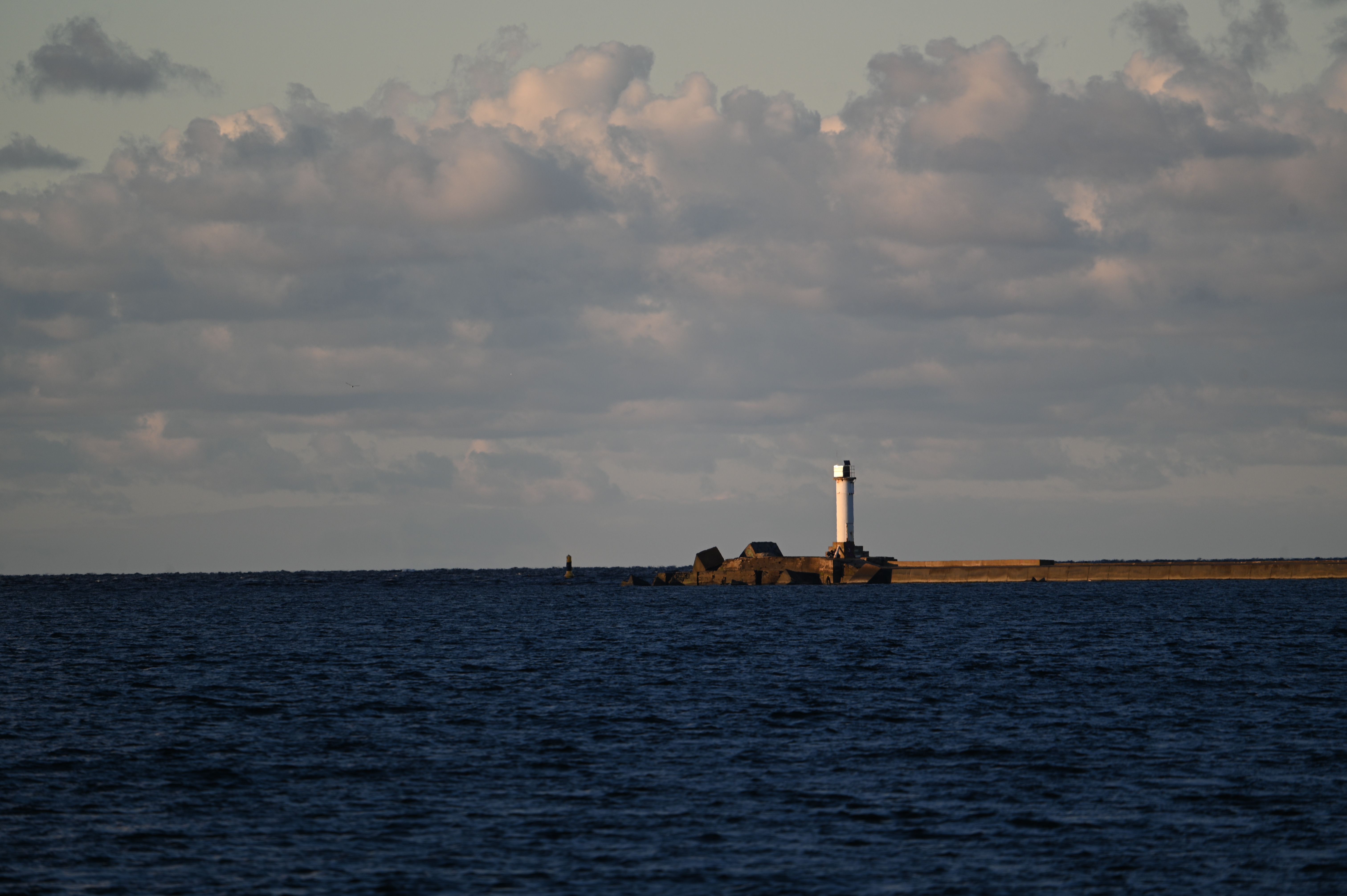 2025/10/18 - walk/DSC_0208.JPG